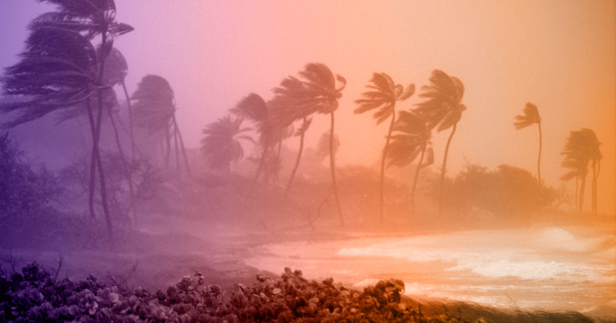Hurricane Season Is Here. Take These Steps to Prepare
