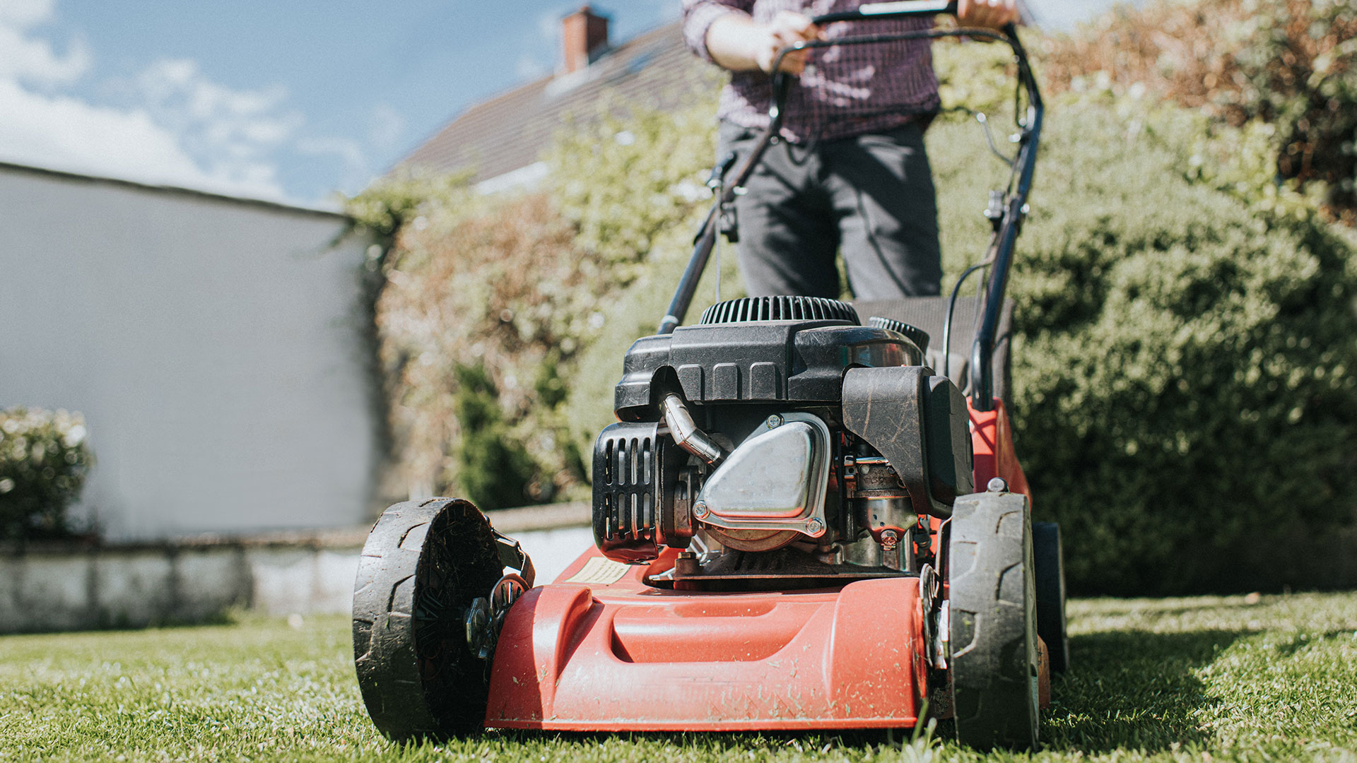 Five times you should NEVER cut your grass - they’re key to a healthier lawn