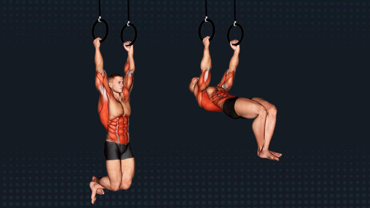 How To Do The Kipping Muscle-Up – Benefits, Alternatives and Muscles Worked – Fitness Volt