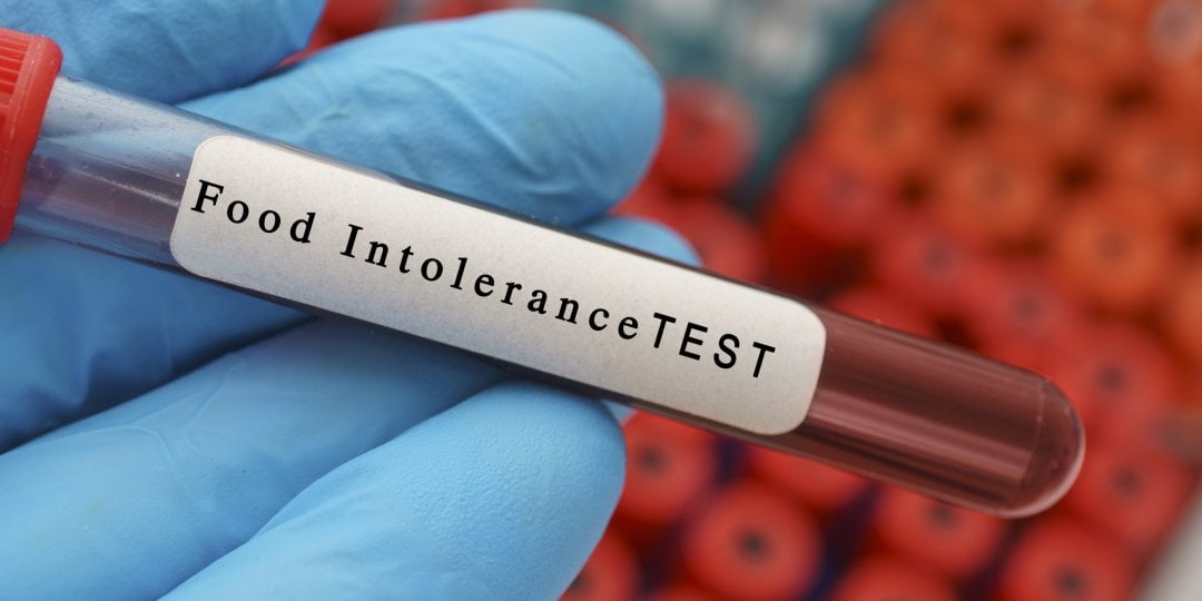 Food intolerance blood test, conceptual image